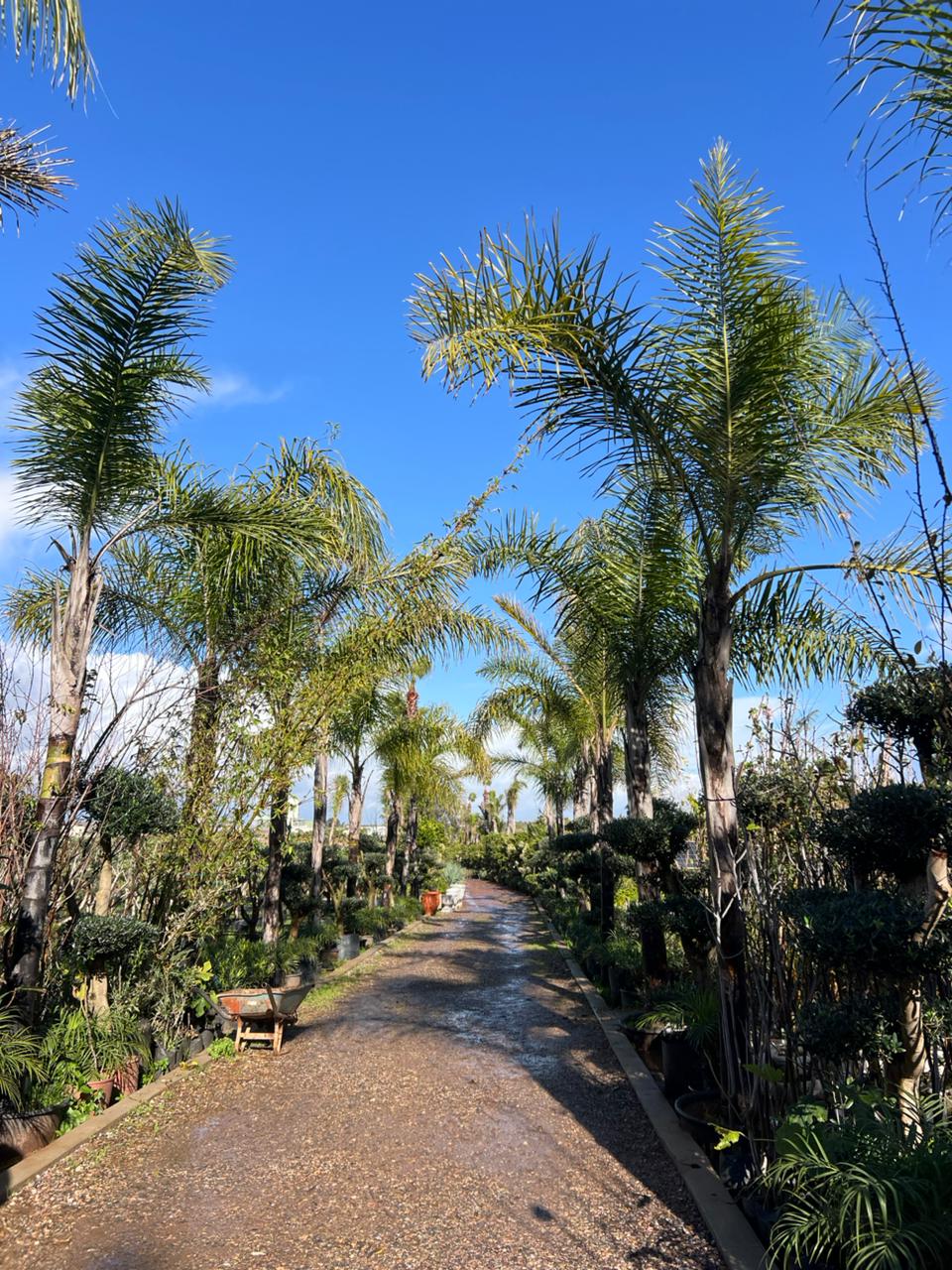 Projet jardin privé